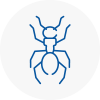 Ant Removals In Wirral
