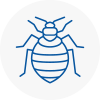 Bed Bug Extermination In Wirral