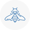 Bee Nest Removal Wirral