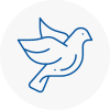 Bird Prevention Wirral