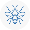 Wirral Hornet Nest Removals