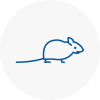 Mice Exterminators In Wirral