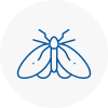 Moth Control Specialists In Wirral