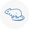 Rat Control Wirral