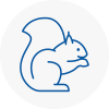Wirral Rodent Removals